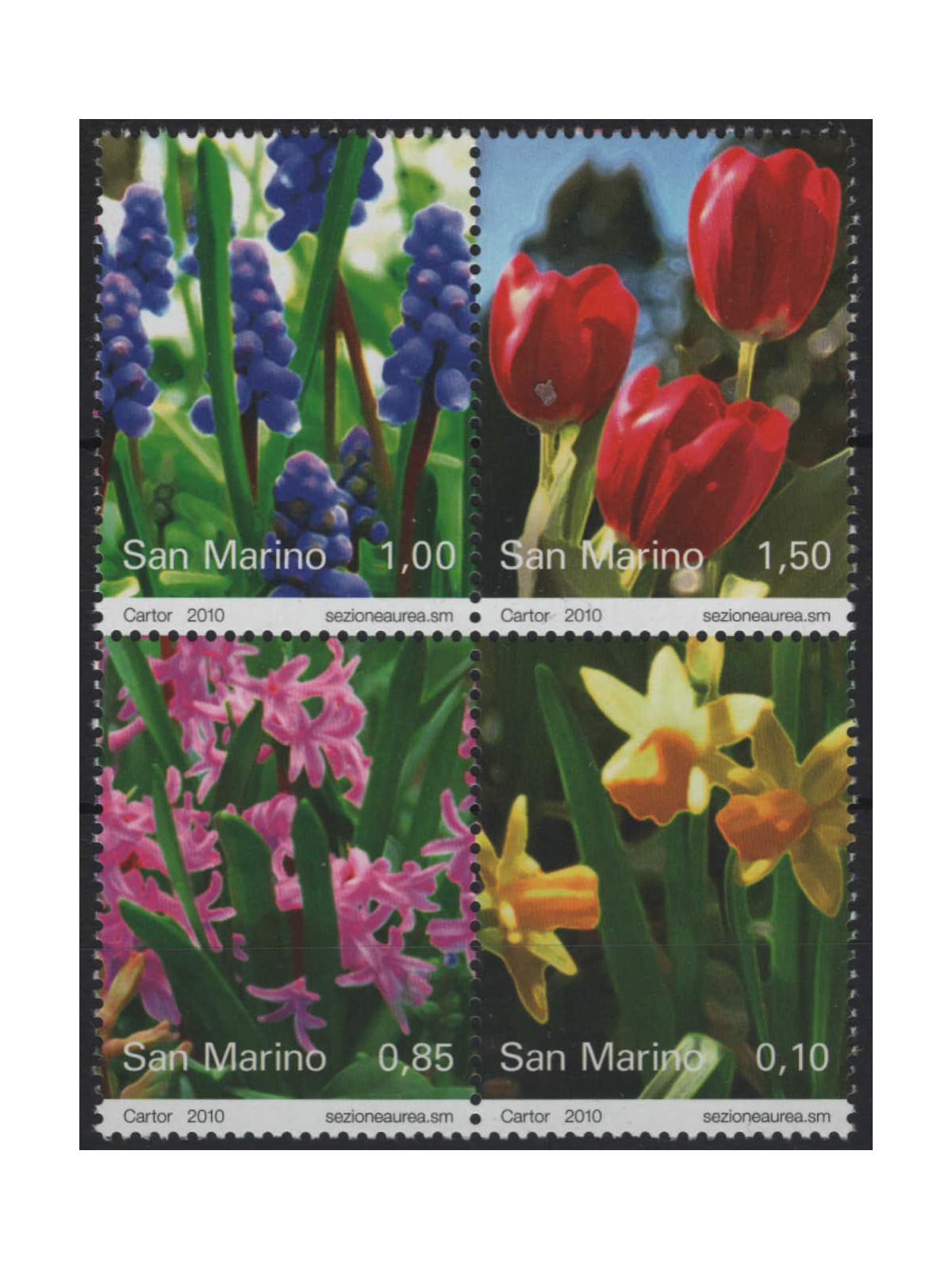 SAN MARINO 2010 Flowers 4v MNH**
