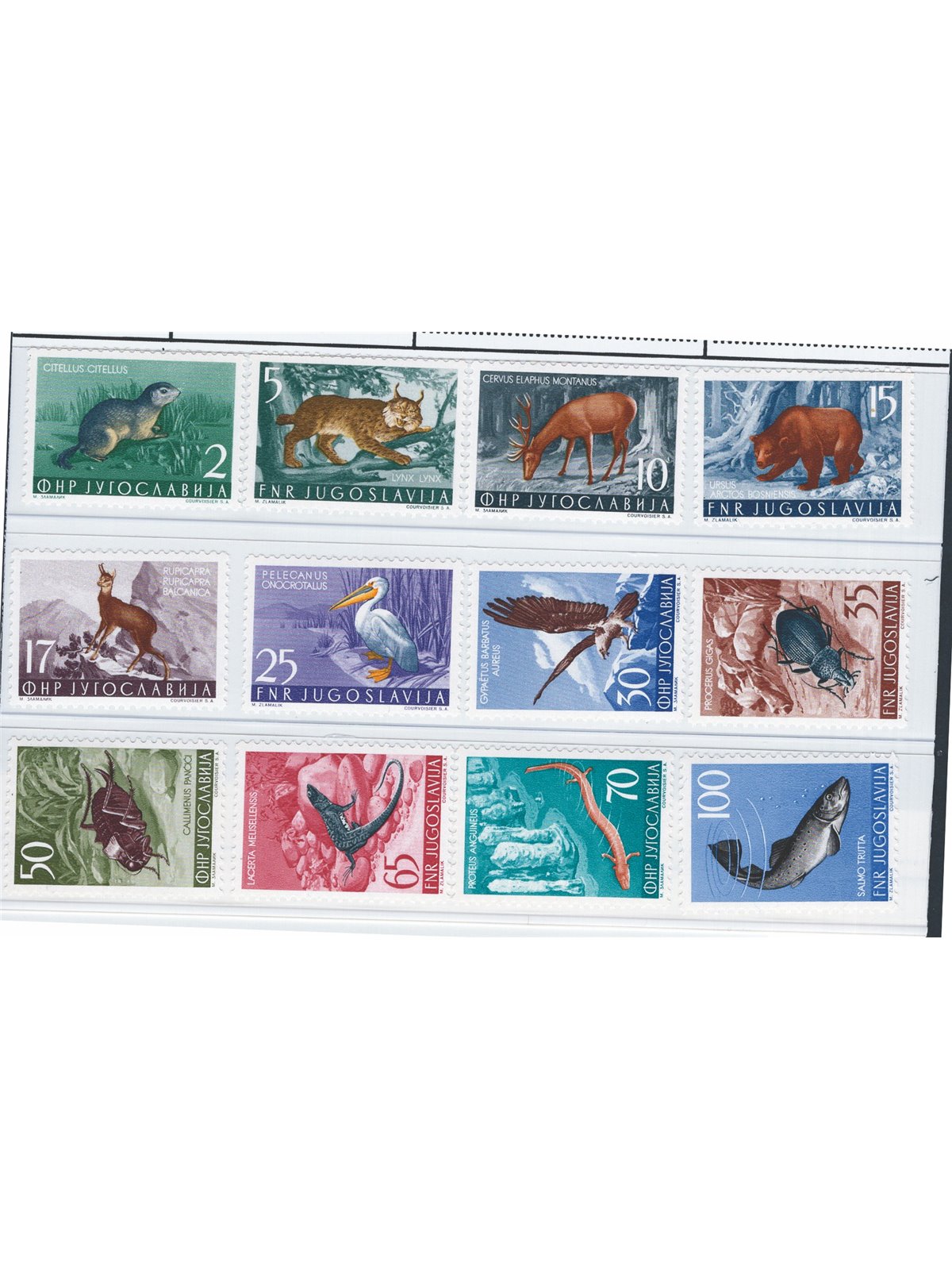 Jugoslavia 1954 Definitiva animali serie n° 643/54 Cat. € 175 (**)