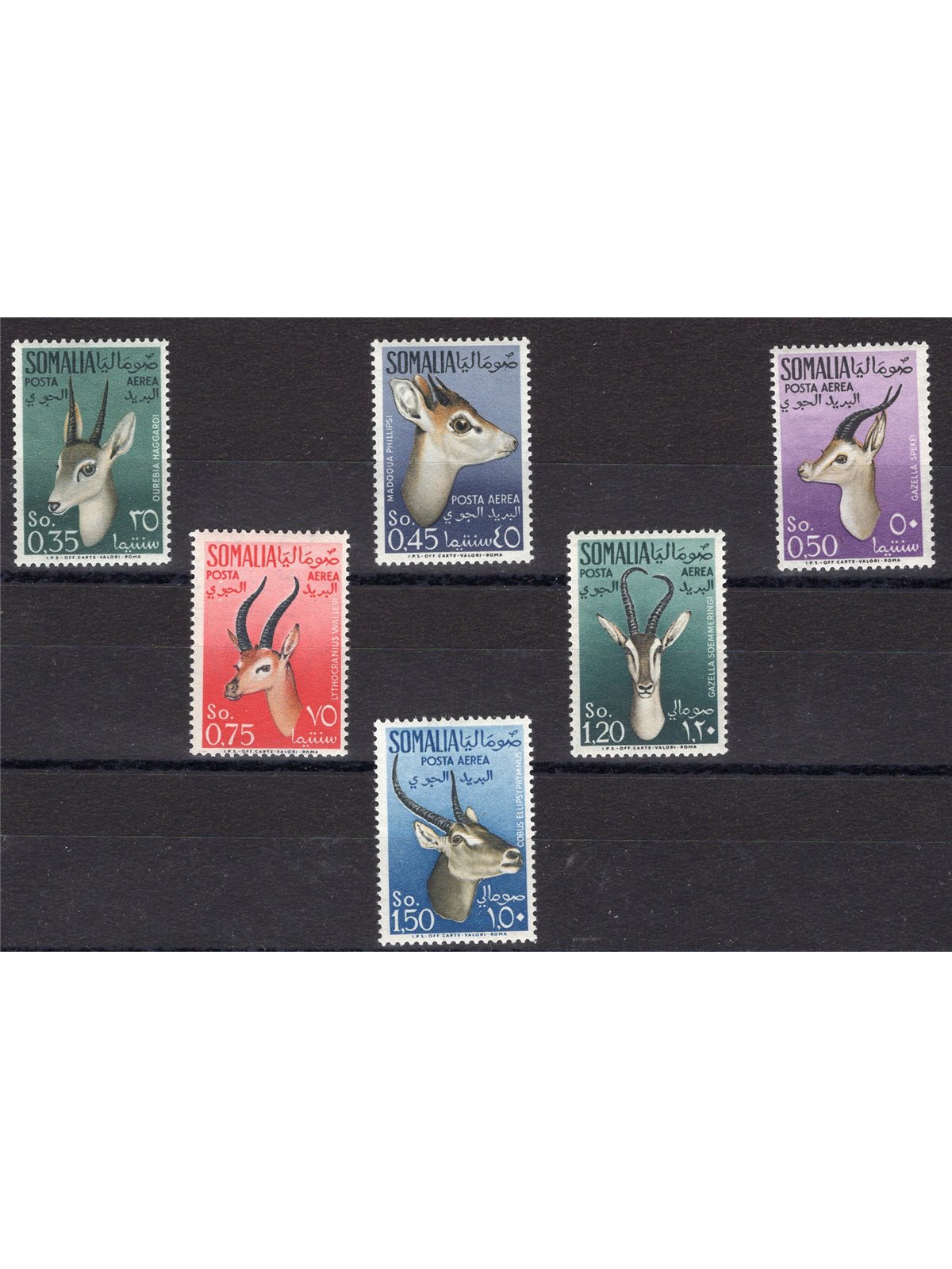Somalia Afis 1955 P.A. Animali serie n° 26/31 Cat. € 50 (**)