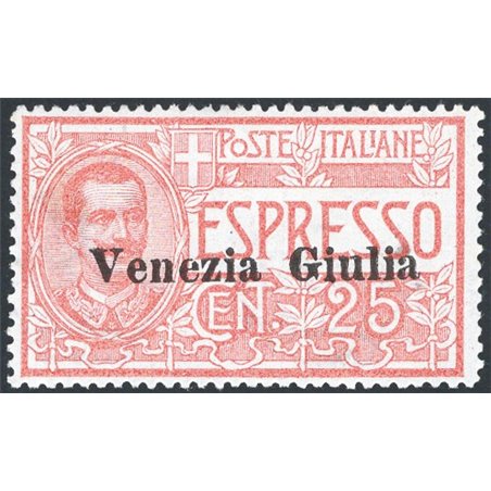 Venezia Giulia 1919 Espressi 25 c. soprast. n° 1. Firm. Chia Cert. CiBaFil Cat. € 750 (**)