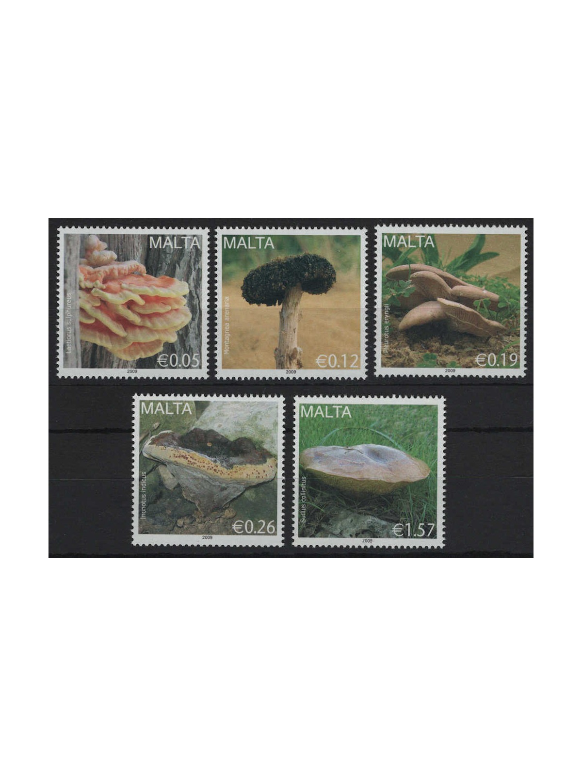 MALTA 2009 Mushrooms 5v MNH**
