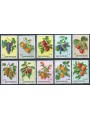 SAN MARINO 1973 Fruit 10v MNH**