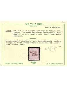 ITALIA LUOGOTENENZA 1944 Varietà Lupa Capitolina (recto-verso) MNG ©