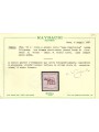 ITALIA LUOGOTENENZA 1944 Varietà Lupa Capitolina (recto-verso) MNG ©