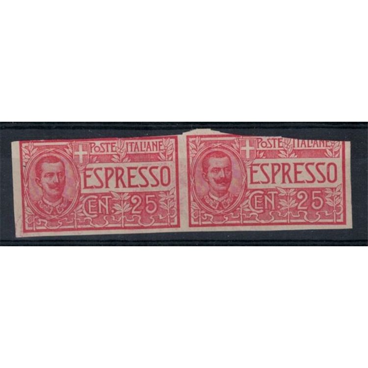ITALY KINGDOM 1903 Express, variety, pair, imperforated 2v MH*