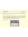 TRIESTE A 1954 Pacchi postali ₤ 1000, cavallino (lineare) MNH** © (Lusso)