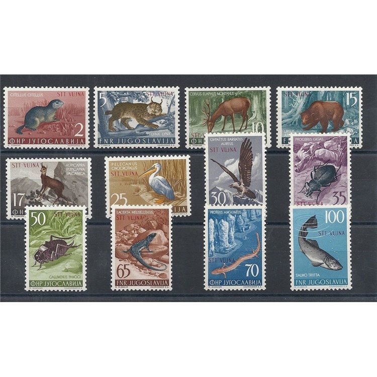 TRIESTE B 1954 Animali 12v MNH**