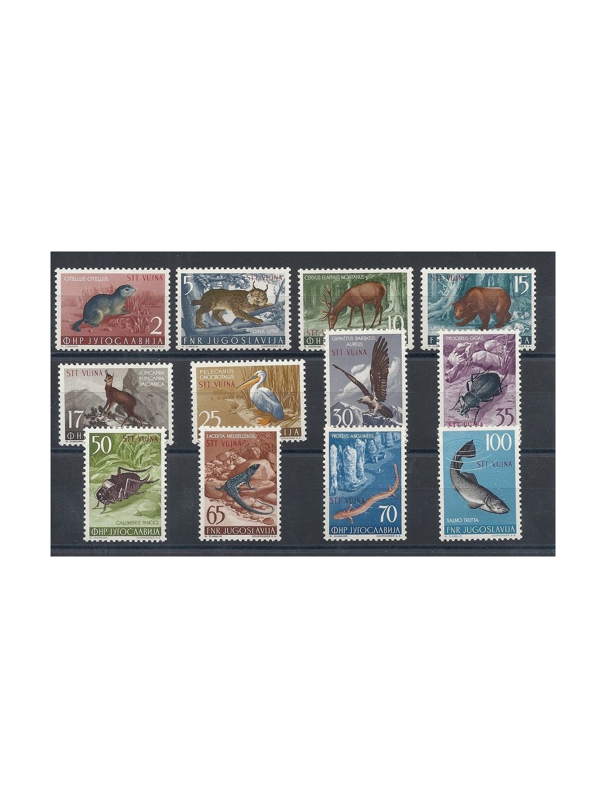 TRIESTE B 1954 Animali 12v MNH**