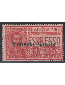 VENEZIA GIULIA 1919 Espresso soprastampato MH*