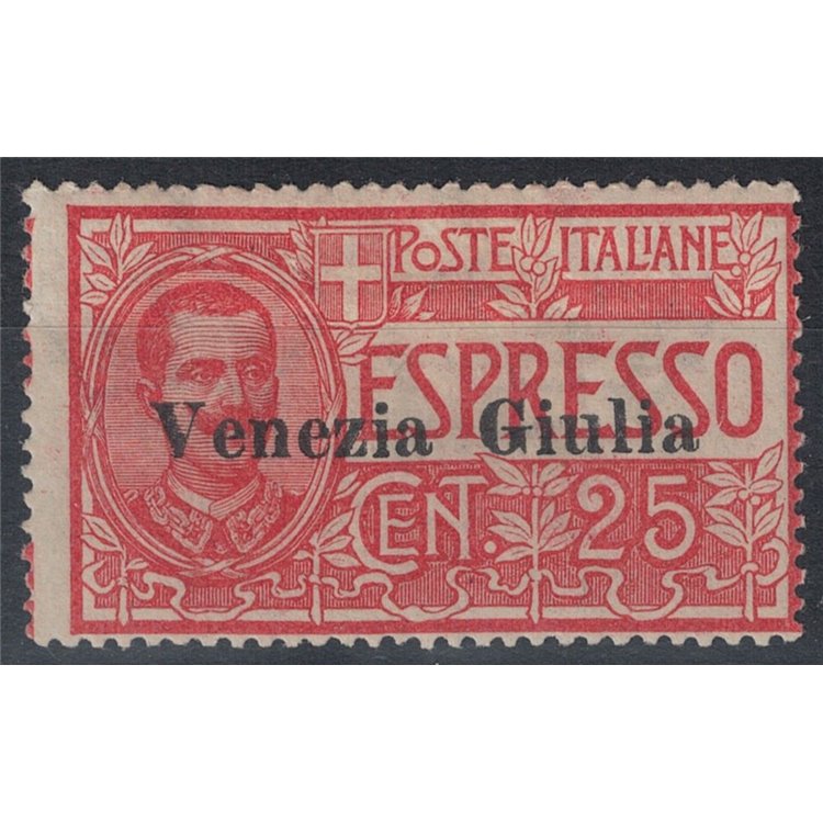 VENEZIA GIULIA 1919 Espresso soprastampato MH*