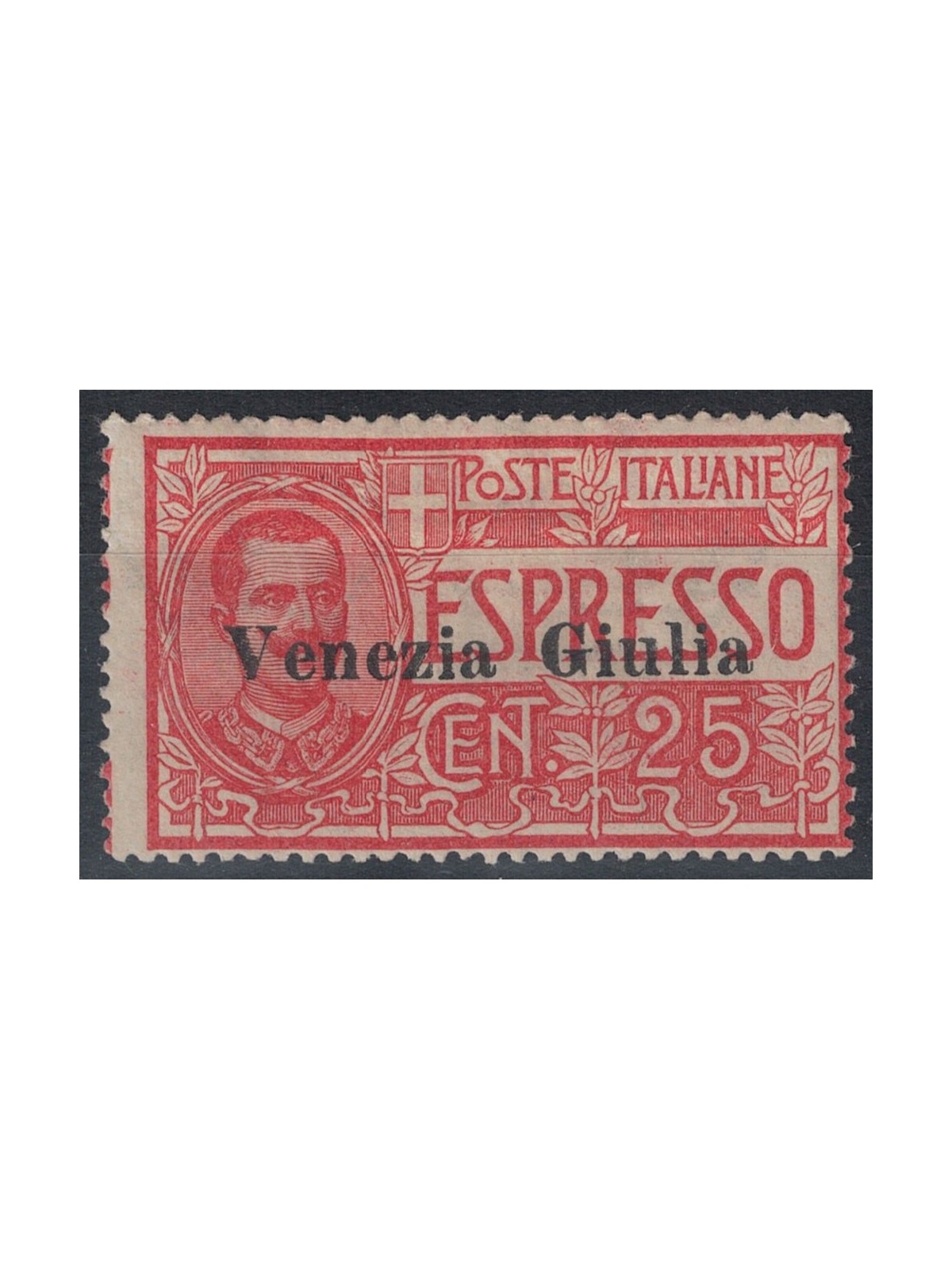 VENEZIA GIULIA 1919 Espresso soprastampato MH*