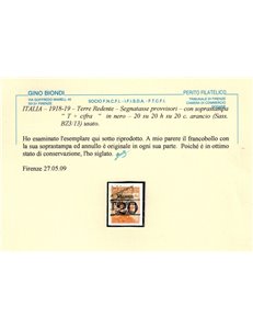 TRENTINO (BZ3) 1918-19 Venezia Tridentina (T con cifra orizzontale) n°13 us ©
