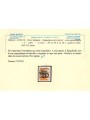 TRENTINO (BZ3) 1918-19 Venezia Tridentina (T con cifra orizzontale) n°13 us ©
