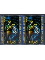 VATICANO 2006 Natale da libretto 2v MNH**