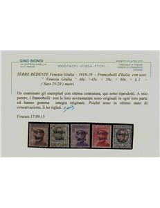 VENEZIA GIULIA 1918 Serie ordinaria 11v MNH** © (Lusso)
