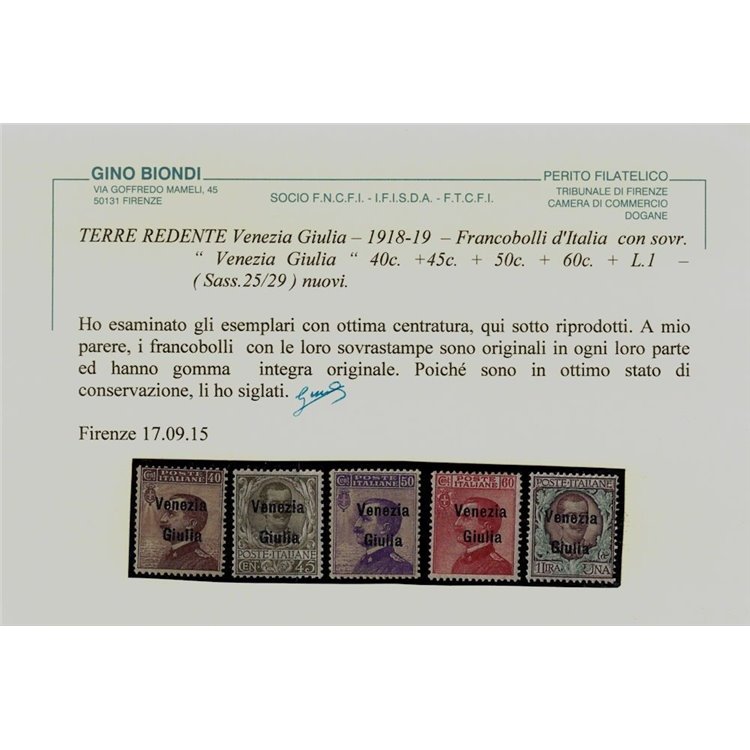 VENEZIA GIULIA 1918 Serie ordinaria 11v MNH** © (Lusso)