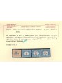 DALMAZIA 1922 Segnatasse 4v MNH** © (Lusso)