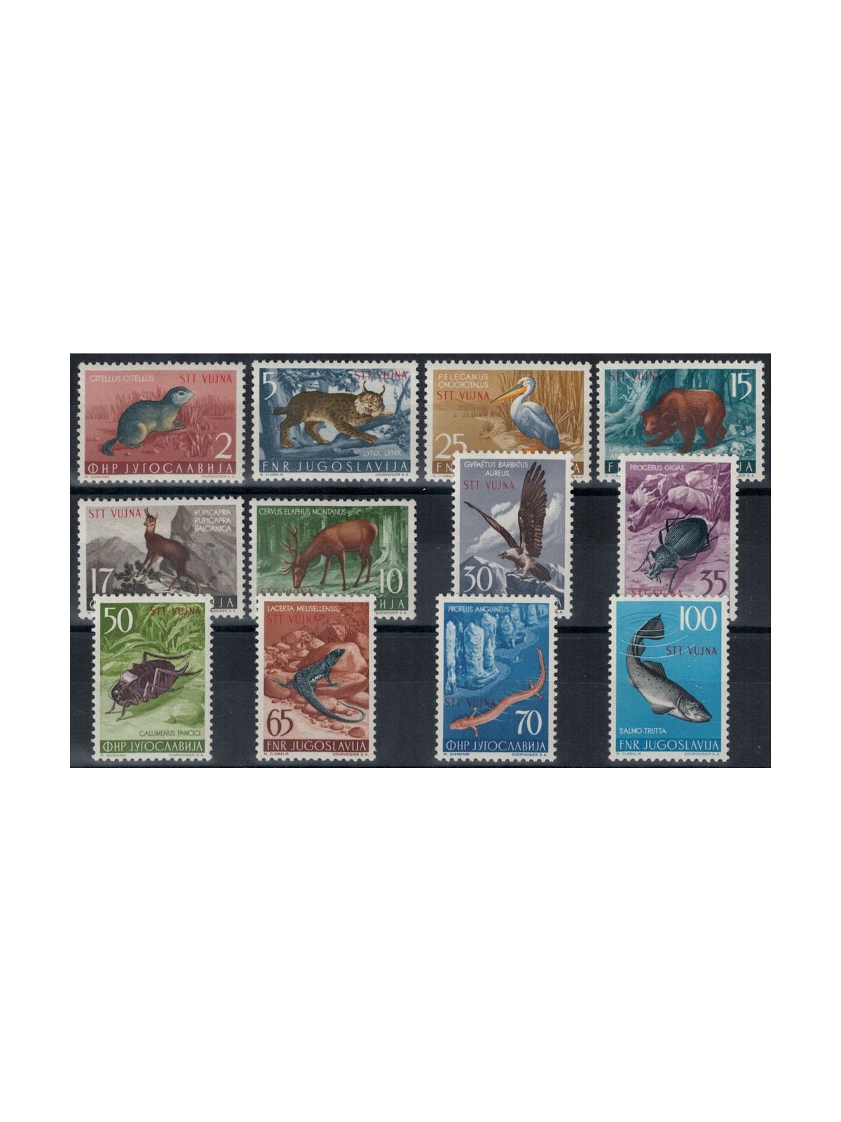 TRIESTE B 1954 Animals 12v MH*