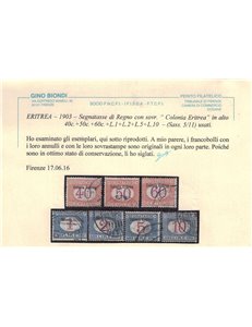 COLONIE ERITREA 1903 Segnatasse 11v us ©