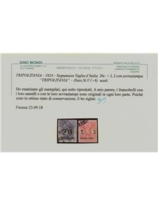 COLONIE TRIPOLITANIA 1924 Segnatasse vaglia 6v us ©