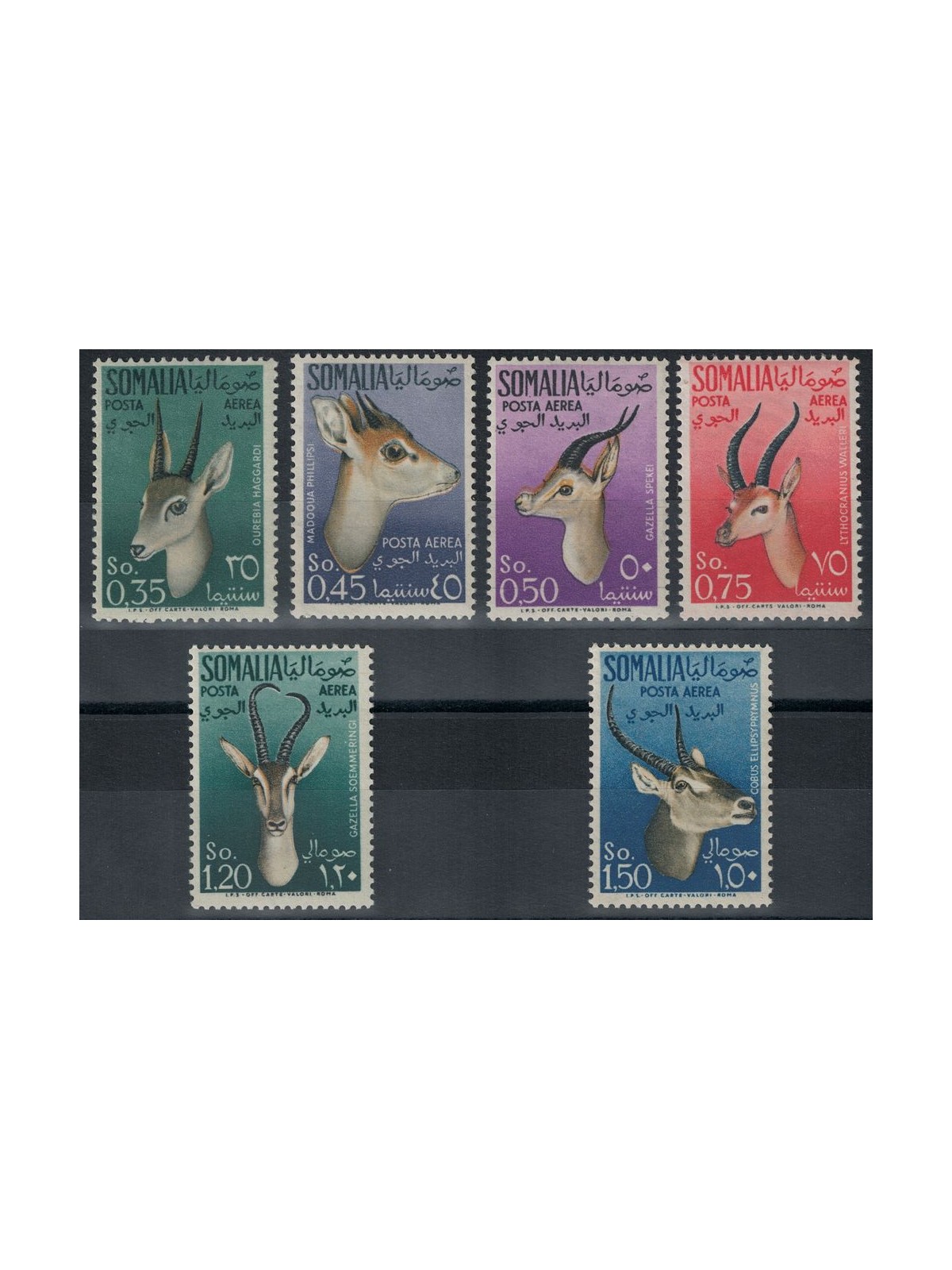 SOMALIA AFIS 1955 Airmail, animals 6v MH*