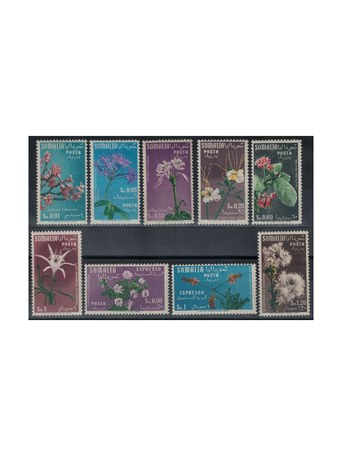 SOMALIA AFIS 1955 Ordinary series, flowers 9v MH*