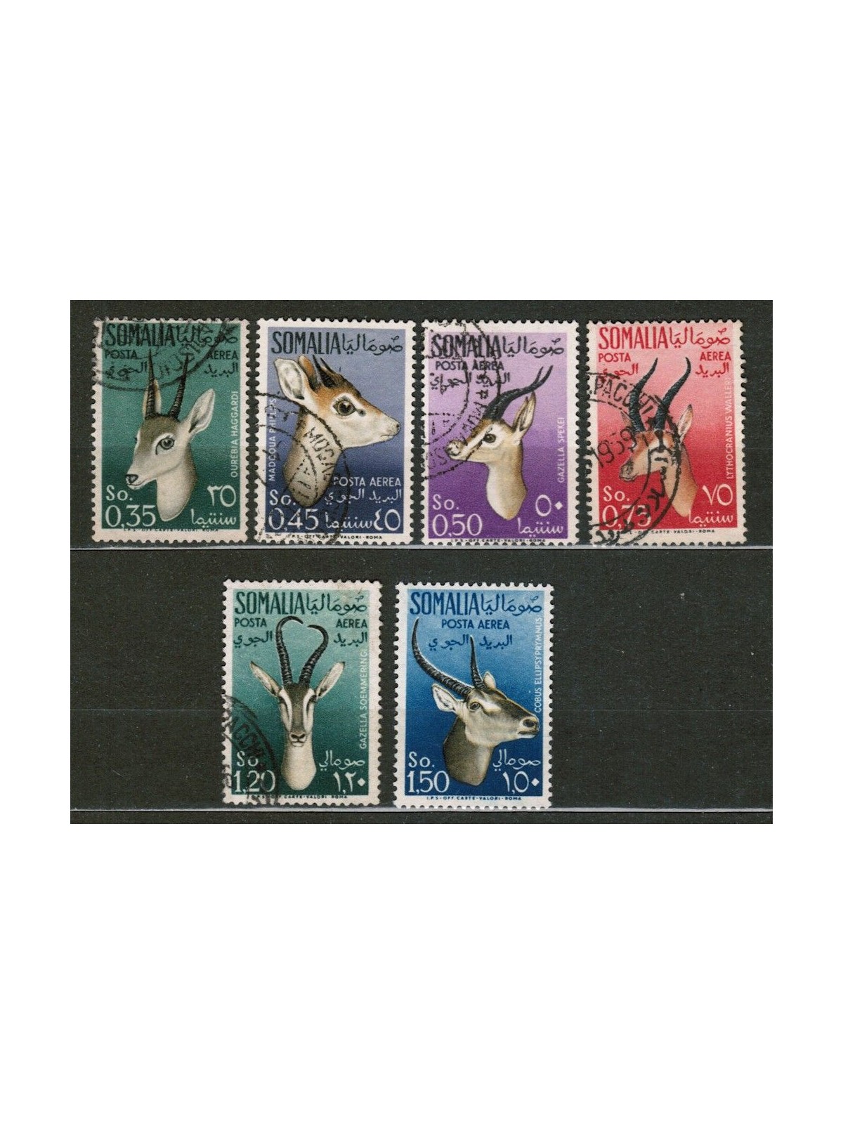 SOMALIA AFIS 1955 Airmail, animals 6v us