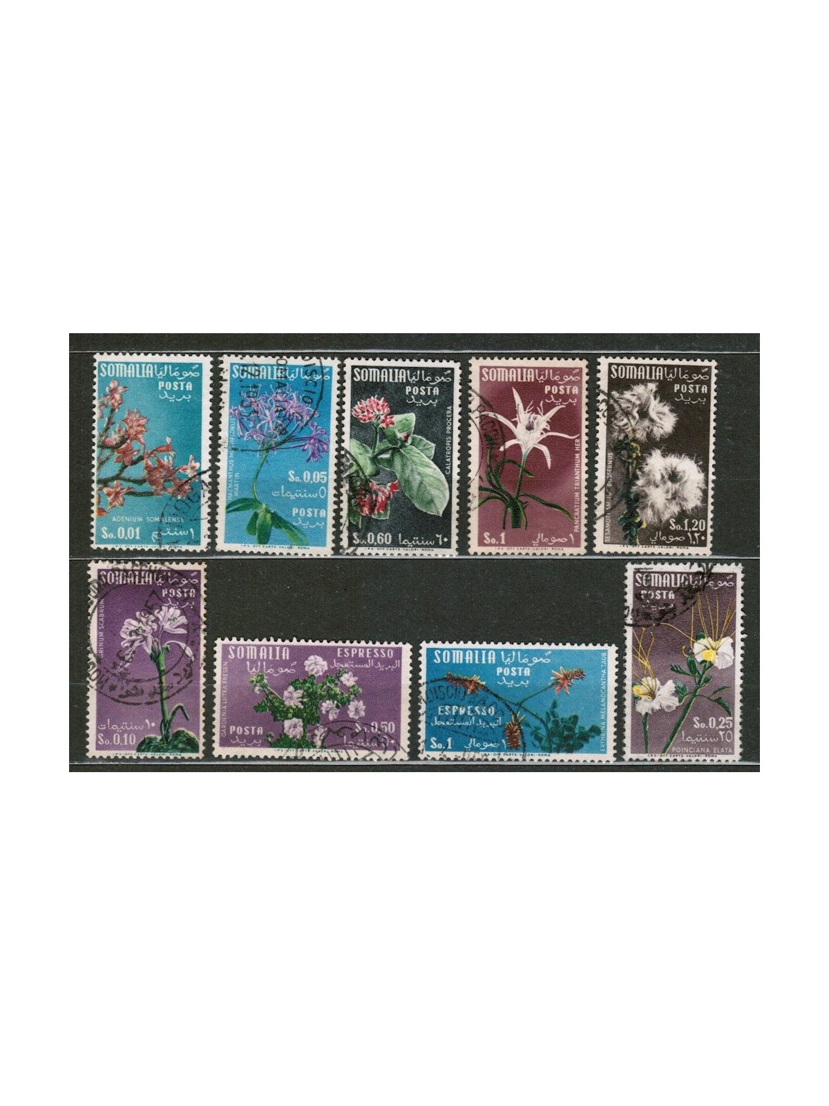 SOMALIA AFIS 1955 Ordinary series, flowers 9v us