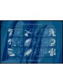 ITALY 2006 Winter Olympic Games s/s us