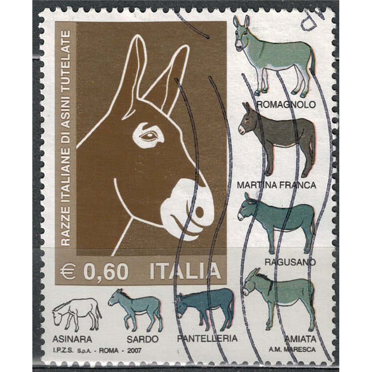ITALY 2007 Donkey Breeds us