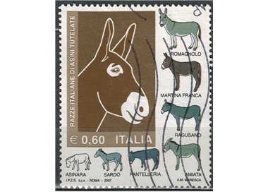 ITALY 2007 Donkey Breeds us