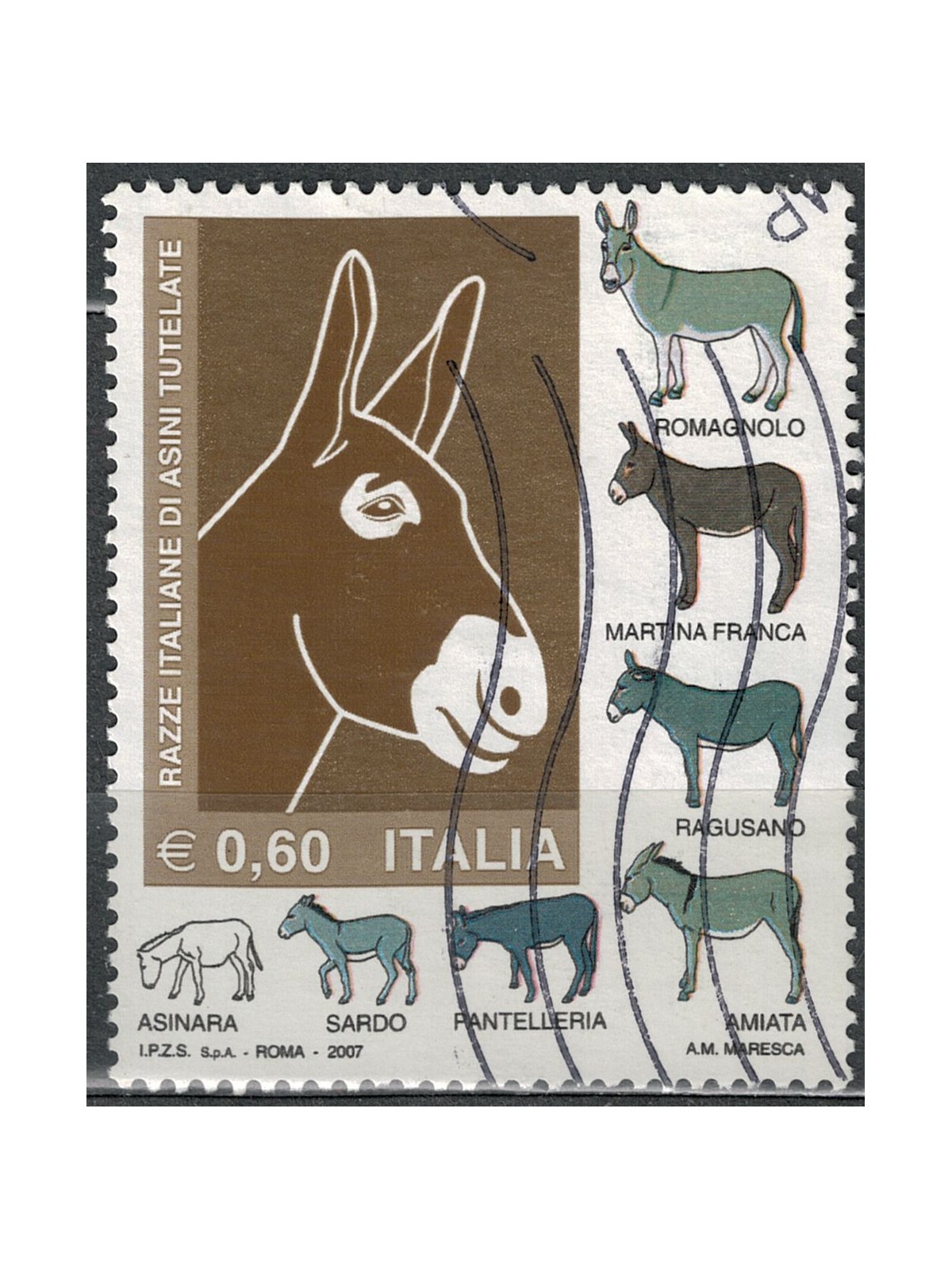 ITALY 2007 Donkey Breeds us