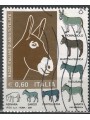 ITALY 2007 Donkey Breeds us