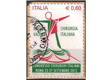 ITALY 2012 Italian Surgery us