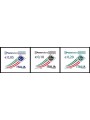 ITALY 2010 Ordinary series 3v MNH**