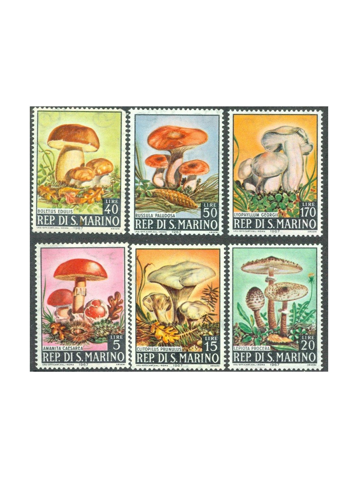 SAN MARINO 1967 Mushrooms 6v MNH**
