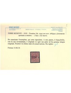 TRENTINO 1918 Varietà 10c rosa soprast. obliqua e spostata MNH** ©