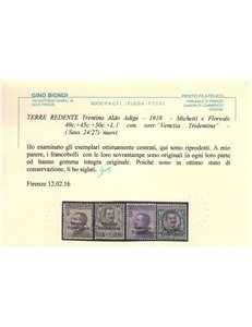 TRENTINO 1918 Venezia Tridentina 9v MNH** © (Lusso)
