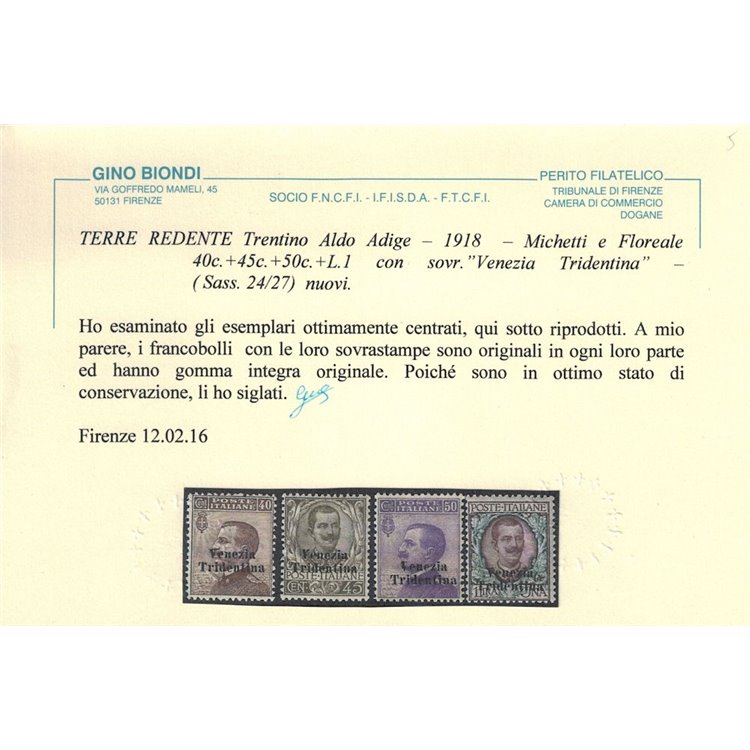 TRENTINO 1918 Venezia Tridentina 9v MNH** © (Lusso)
