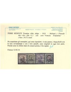 TRENTINO 1918 Venezia Tridentina 9v us ©