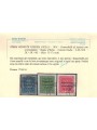 VENEZIA GIULIA 1918 Francobolli austriaci sovrast. 17v us ©