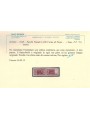 ITALIA 1946-51 Pacchi postali 300 ₤ lilla bruno MNH** © (Lusso)