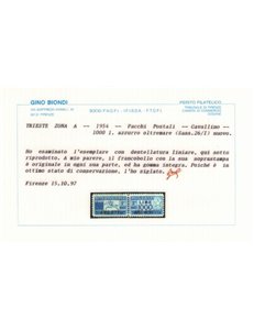 TRIESTE A 1954 Pacchi postali ₤ 1000, cavallino (lineare) MNH** ©