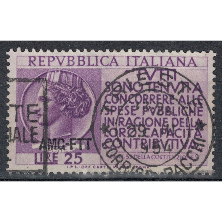 TRIESTE A 1954 Income Tax Return us