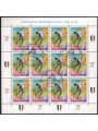 ITALY 2000 Lazio Italian Champion m/s us