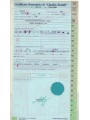 ITALIA 2006 Diciottenni 2 BF MNH** ©