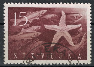 TRIESTE B 1952 Mostra filatelica di Capodistria us