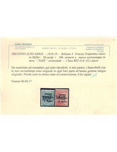 TRENTINO (BZ3) 1918-19 Venezia Tridentina soprast. TAXE 2v MNH** ©