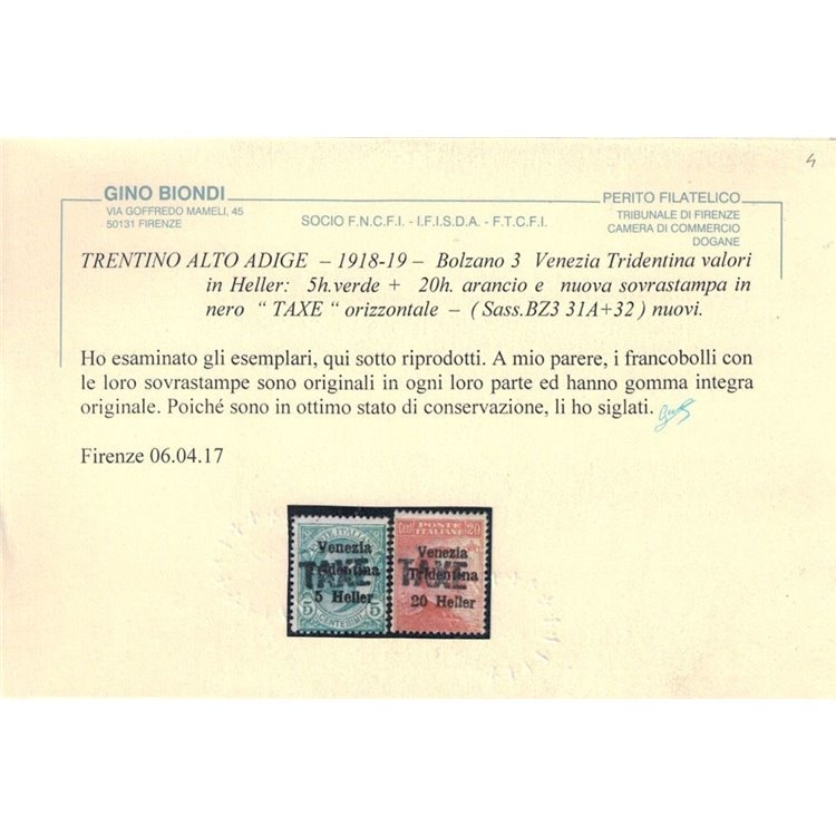 TRENTINO (BZ3) 1918-19 Venezia Tridentina soprast. TAXE 2v MNH** ©