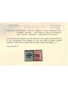 TRENTINO (BZ3) 1918-19 Venezia Tridentina soprast. TAXE 2v MH* ©